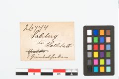 Etikett zu Bronzegürtelhaken (NHMW-PRAE-026774)